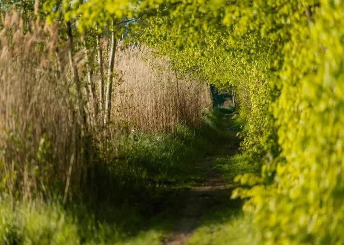 Hotel en barco Havel Houseboat Serenity *