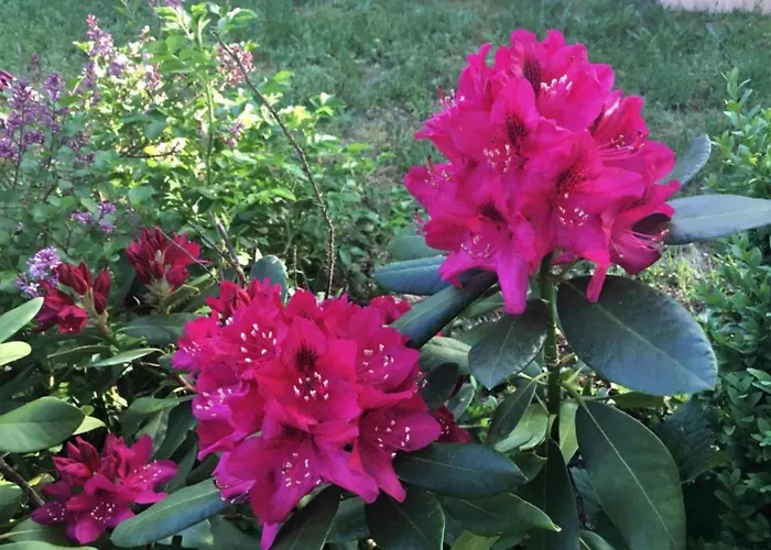 Hotel en barco Havel Houseboat Serenity Zehdenick