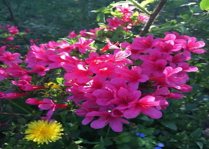 Hotel en barco Havel Houseboat Serenity